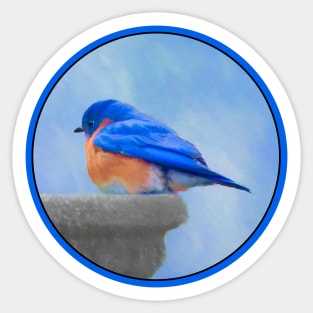 Bluebird Sticker